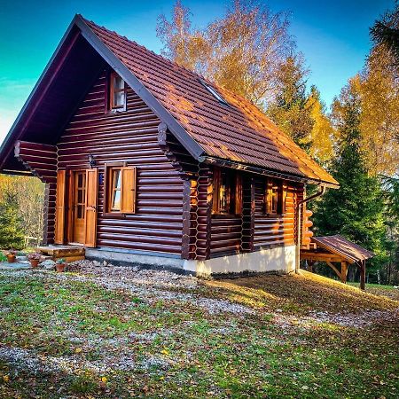 Pine Lodge Hlevci Kültér fotó