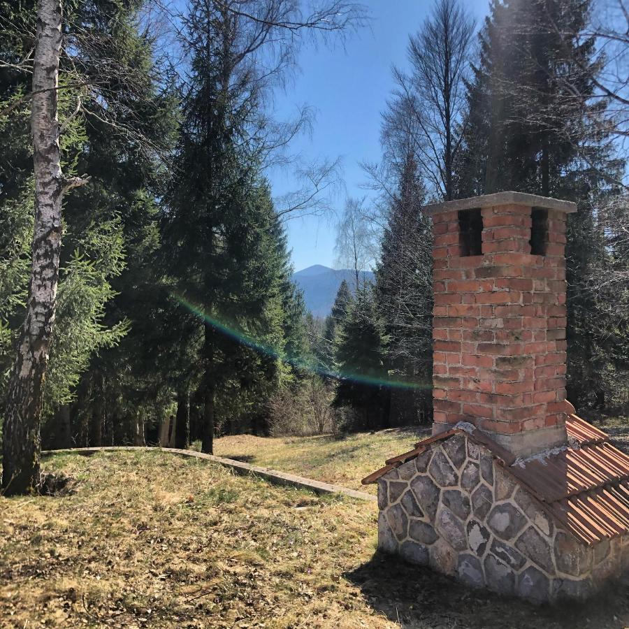 Pine Lodge Hlevci Kültér fotó