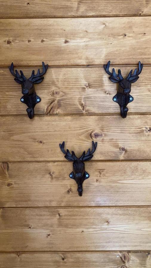 Pine Lodge Hlevci Kültér fotó
