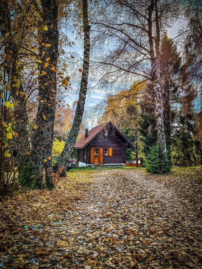 Pine Lodge Hlevci Kültér fotó
