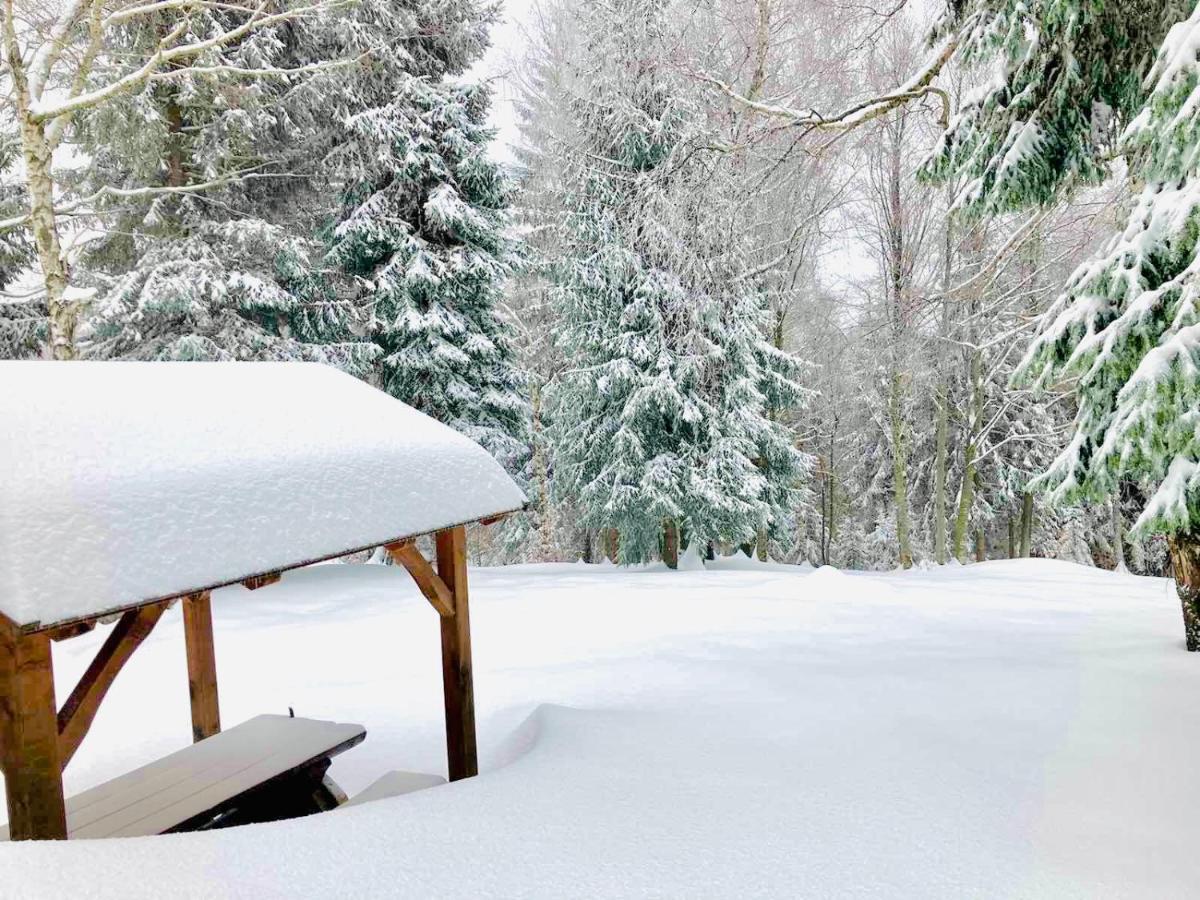 Pine Lodge Hlevci Kültér fotó