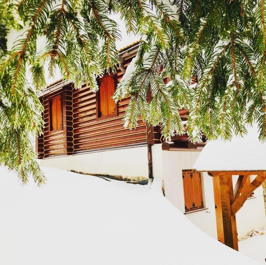 Pine Lodge Hlevci Kültér fotó