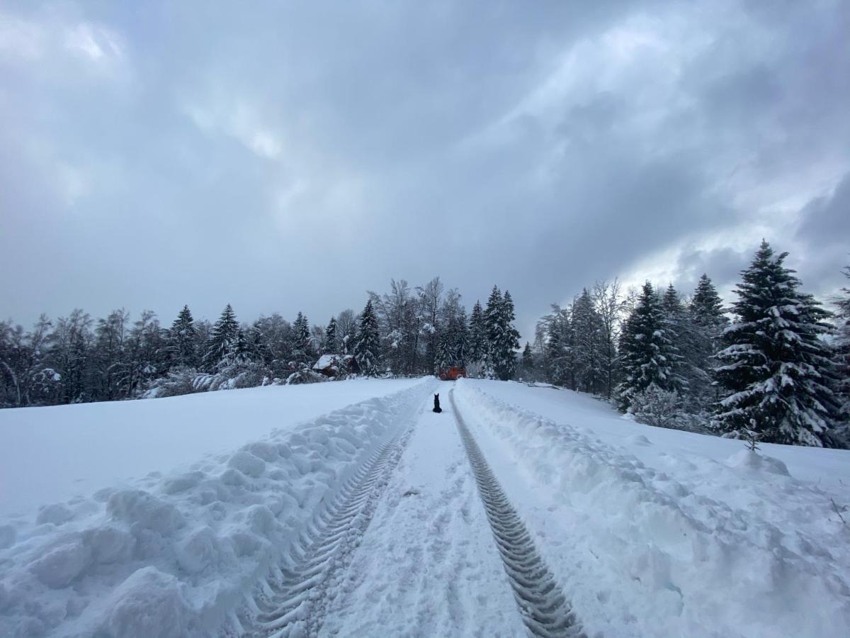 Pine Lodge Hlevci Kültér fotó